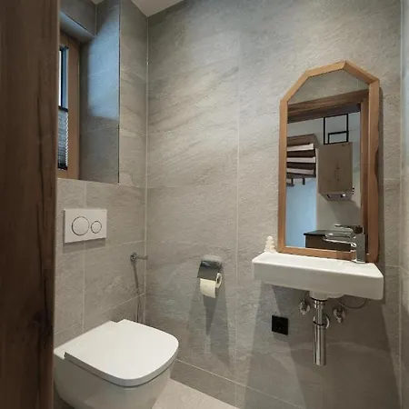 Alpine Lofts M26